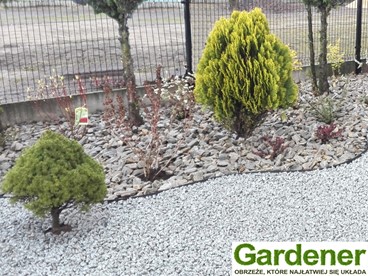 Obrzeże Gardener 3,8 cm brązowe 30m PRO