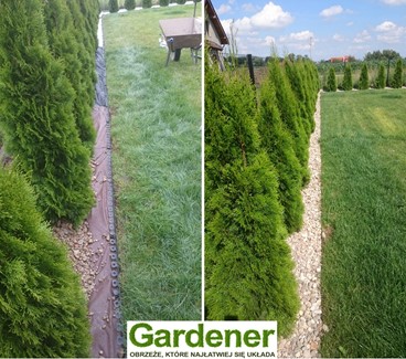 Obrzeże Gardener 3,8 cm zielone 30m